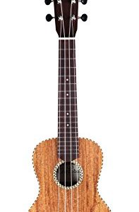 Cordoba Guitars 25C Concert Ukulele