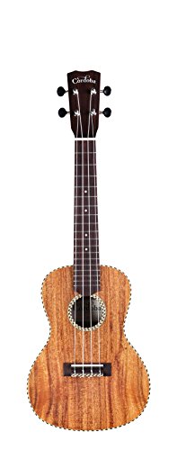 Cordoba Guitars 25C Concert Ukulele