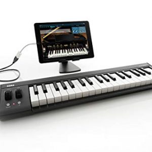 Korg Keyboard Amplifier, 61-Key - Image 2