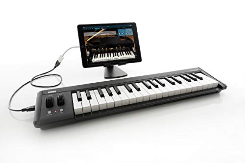 Korg Keyboard Amplifier, 61-Key