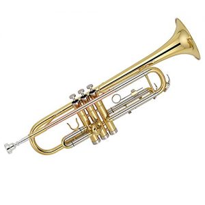 Kaizer C-Series (3000) Standard B Flat Bb Trumpet All New 2020 Model