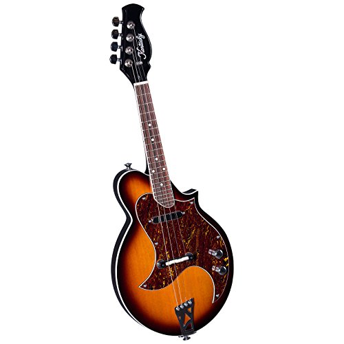 Kentucky 4-String Electric Mandolin