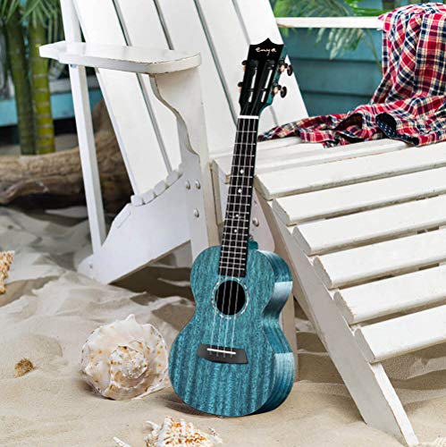 Enya Tenor Ukulele Solid Gloss Mahogany 26 Inch Wiping Blue