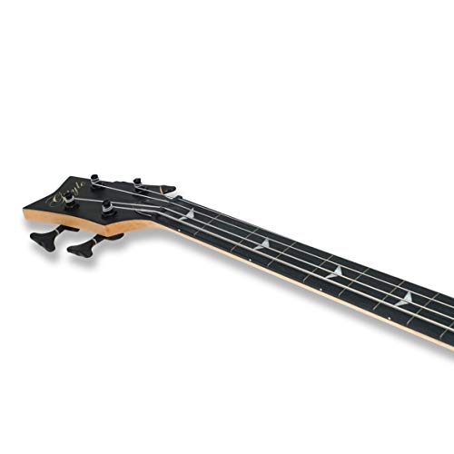Fretless 4-String Electric Bass – Smooth Tone, Sleek Design & Ultimate Playability