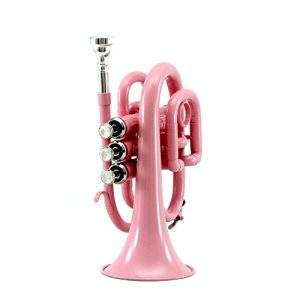 Sky Band Approved Brass Bb Pocket Trumpet with Case, Cloth, Gloves and Valve Oil - Image 2