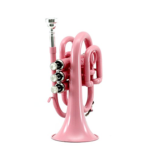 Sky Band Approved Brass Bb Pocket Trumpet with Case, Cloth, Gloves and Valve Oil