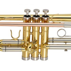 Experience Exceptional Sound with the All-New 2020 Standard B Flat Trumpet - Image 3
