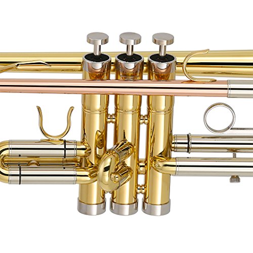 Experience Exceptional Sound with the All-New 2020 Standard B Flat Trumpet