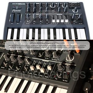 Arturia Microbrute 25-Note Mini Keyboard Analog Synthesizer - Image 2