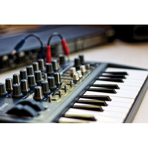 Arturia Microbrute 25-Note Mini Keyboard Analog Synthesizer