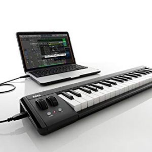 Korg Keyboard Amplifier, 61-Key - Image 4