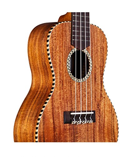 Cordoba Guitars 25C Concert Ukulele