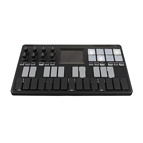 Korg NANOKEY-ST Midi Controller with Knox Gear 4-Port USB