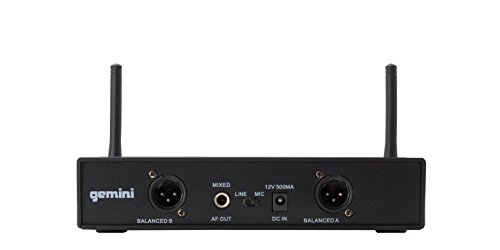 Gemini Lightweight Professional Audio Microphone System
