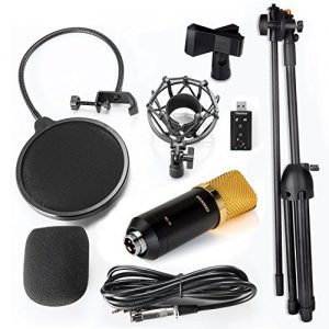Studio-Grade Audio Clarity with Condenser Microphone Bundle – Professional Sound Recording Kit 🎙️🎧 - Image 2