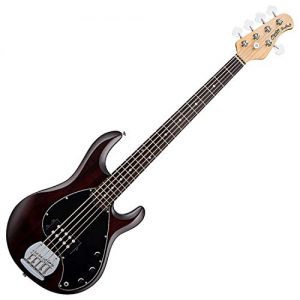 Sterling by Music Man StingRay Ray5 Bass Guitar in Walnut Satin