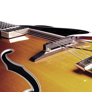 Fishman Archtop Guitar Pickup - Image 2