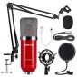 ZINGYOU Condenser Microphone Bundle, ZY-007 Professional Cardioid Studio