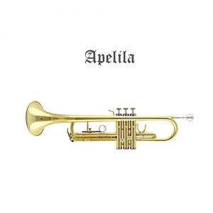 TRUMPET - Apelila Bb Key Brass Gold Lacquer with Care Case - Image 2