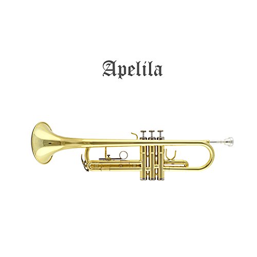 TRUMPET - Apelila Bb Key Brass Gold Lacquer with Care Case