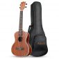 Afuaim Concert Ukulele 21 inch Sapele Hawaiian Ukele with Ukulele Case