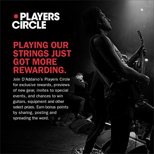 D'Addario Phosphor Bronze Acoustic Guitar Strings, Light Tension