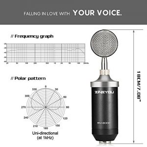 Professional Studio Condenser Microphone Kit – Complete XLR Bundle with Shock Mount, Pop Filter & Accessories - Image 3