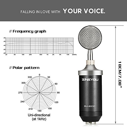 Professional Studio Condenser Microphone Kit – Complete XLR Bundle with Shock Mount, Pop Filter & Accessories