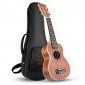 Concert Ukulele 21 Inch Wooden Professional Ukulele