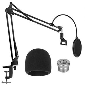 InnoGear Heavy Duty Microphone Stand with Mic Microphone Windscreen and Dual