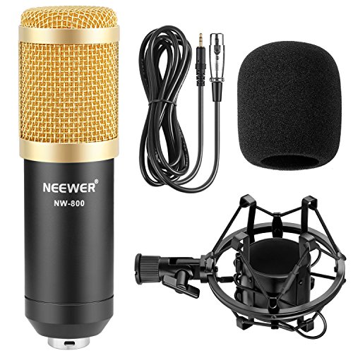 Neewer Professional Studio Broadcasting & Recording Microphone Set