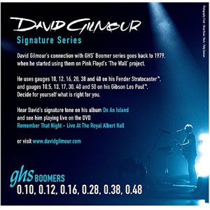 GHS Strings GB-DGF David Gilmour Signature Series, Nickel-Plated Electric Guitar - Image 2