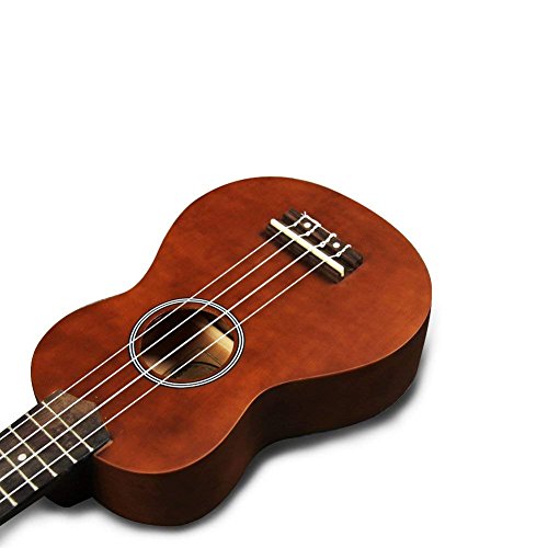 Bailando 21 Inch Handmade Wooden Soprano Ukulele Beginner Kit
