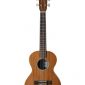 Cordoba 20TM Tenor Ukulele