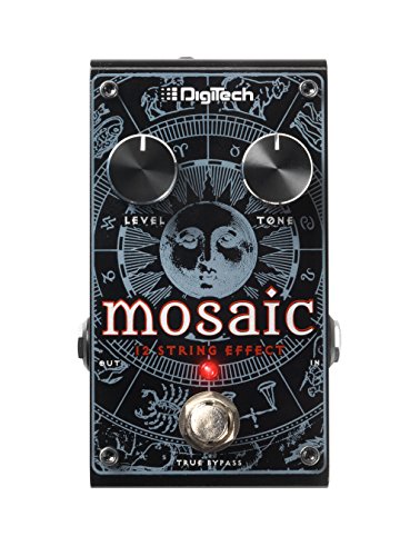 Other Acoustic Guitar Effect Pedal, REGULAR