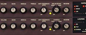 Boss ACS Live 60W Combo Amplifier for Acoustic Guitar and Vocals - Image 3