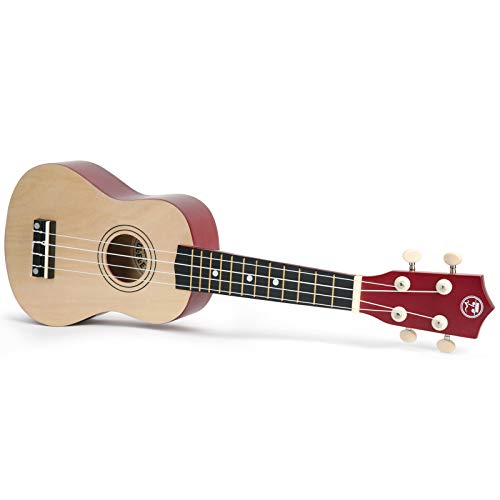 Soprano Basswood Ukulele 21inch Starter Kit for Beginner with Gig Bag