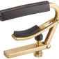 Shubb C1B Brass Capo for Steel String Guitars