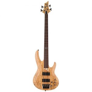 ESP LTD FL Spalted Maple Fretless Bass Guitar, Natural Satin - Image 2
