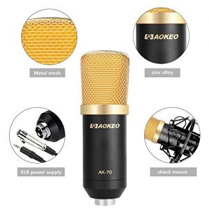 Studio-Grade Audio Clarity with Condenser Microphone Bundle – Professional Sound Recording Kit 🎙️🎧 - Image 3