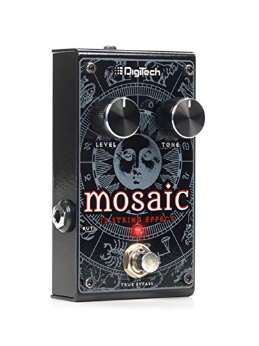 Other Acoustic Guitar Effect Pedal, REGULAR