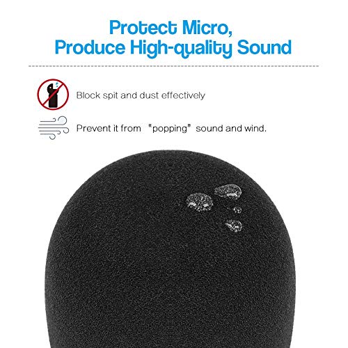 InnoGear Heavy Duty Microphone Stand with Mic Microphone Windscreen and Dual