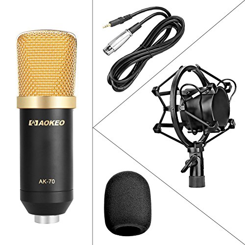 Studio-Grade Audio Clarity with Condenser Microphone Bundle – Professional Sound Recording Kit 🎙️🎧