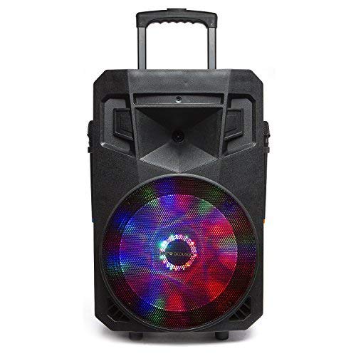 Portable PA Speaker with Recording Function and Wireless Microphones