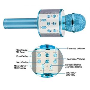 Gifts for 4 5 6 7 8 9 10 Year Old Kids, Touber Wireless Portable Handheld Karaoke - Image 3