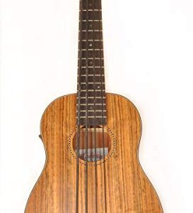 Hadean Acoustic Electric Bass Ukulele