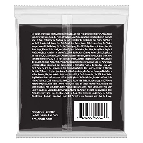 Ernie Ball Stainless Steel Regular Slinky Set