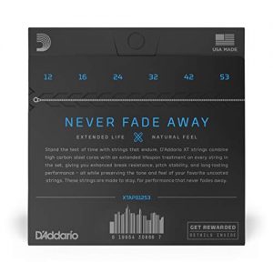 D'Addario XT Phosphor Bronze Acoustic Guitar Strings, Light - Image 3