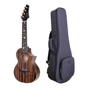 Enya EUC-M6 Concert Ukulele NEW Dark Brown Color All AAA Solid Mahogany