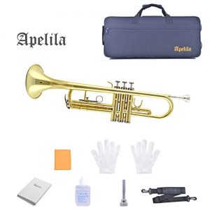 TRUMPET - Apelila Bb Key Brass Gold Lacquer with Care Case - Image 3